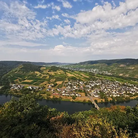 شقة Moselpanorama ترابن ترارباخ