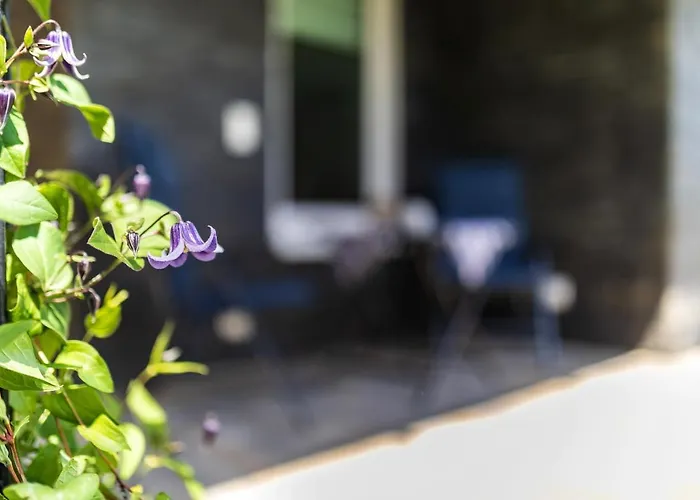 Moselpanorama Apartmán Traben-Trarbach